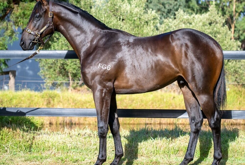 Rebel Dane x Lucky Juniper COLT
